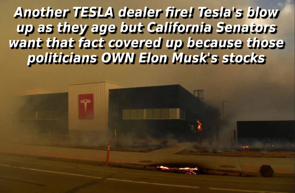 Another Toxic Tesla Fire
Keywords: Rare Earth Mines Of Afghanistan, New America Foundation Corruption, Obama, Obama Campaign Finance, Obama FEC violations, Palo Alto Mafia, Paypal Mafia, Pelosi Corruption, Political bribes, Political Insider,  Eric Schmidts Sex Penthouse, SEC Investigation