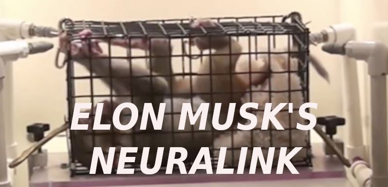 ELON-MUSK-MONKEY-TESTING-WITH-BRAIN-DEVICES-Elon-Musk-Corruption-And-Crappy-Engineering-Make-Tesla-Cars-So-Unsafe-
Keywords: Rare Earth Mines Of Afghanistan, New America Foundation Corruption, Obama, Obama Campaign Finance, Obama FEC violations, Palo Alto Mafia, Paypal Mafia, Pelosi Corruption, Political bribes, Political Insider,  Eric Schmidts Sex Penthouse, SEC Investigation