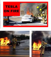 TESLA BATTERY FIRES 55
Keywords: Rare Earth Mines Of Afghanistan, New America Foundation Corruption, Obama, Obama Campaign Finance, Obama FEC violations, Palo Alto Mafia, Paypal Mafia, Pelosi Corruption, Political bribes, Political Insider,  Eric Schmidts Sex Penthouse, SEC Investigation