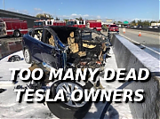 ANOTHER-DEAD-TESLA-DRIVER-vvv~0.png