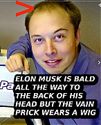 BALD-ELON-MUSK~0.png