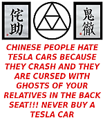 CHINESE_PEOPLE_HATE_TESLAA_CARS.png