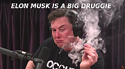 ELON-MUSK-CORRUPTION-2226-MUSK~0.png