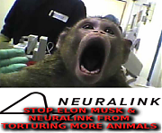 ELON_MUSK_TORTURES_ANIMALS_FOR_NEURALINK~0.png