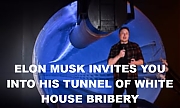 ELON_MUSK_WANTS_YOU_IN_HIS_HOLE~0.jpg