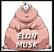 FAT_POLITICAL_PIG-ELON-MUSK-IS-A-CROOK-AND-SCAMMER-MUSK~0.png