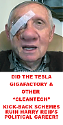 HARRY-REID-TESLA-KICKBACKS_ELON_MUSK_IS_A_CROOK_AND_SCAMMER.png