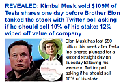 MUSK-STOCK-CRIMES-MUSK-1.png