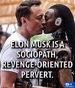 MUSK_PERVERSIONS_2~0.png