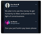 MUSK_TAX_CHEAT~0.png