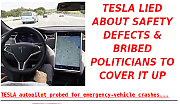 Screenshot-from-2021-08-16-09-40-13Tesla-Safety-Cover-Up~0.png