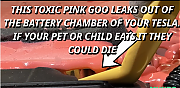 TESLA-PINK-MASHED-UP-BABIES~0.png