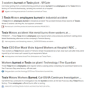 TESLA-WORKERS-BURNED-ALIVE_-BB~0.png