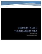 THE-CASE-AGAINST-TESLA-MOTORS-pdf~0.jpg