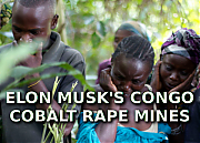 elon_musk_congo_cobalt_rape_mines_283rd_copy29~0.png