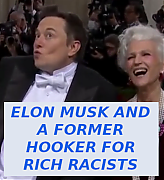 musk_is_a_fool~0.png