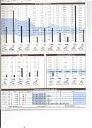 samplehairchart-TESLA-MOTORS-IS-CORRUPT-AND-UNSAFE.jpg