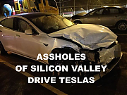 teslac04b-Elon-Musk-Corruption-And-Crappy-Engineering-Make-Tesla-Cars-So-Unsafe-_v1-MUSK-1~0.png