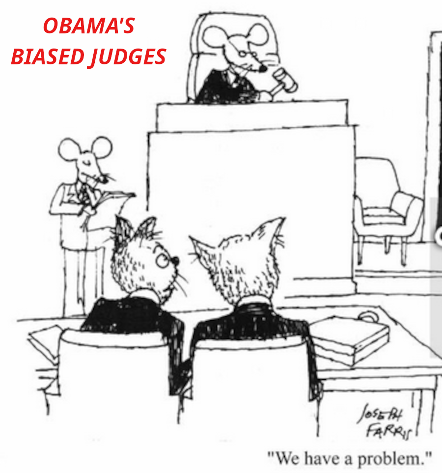 BIASED_JUDGES~0.png