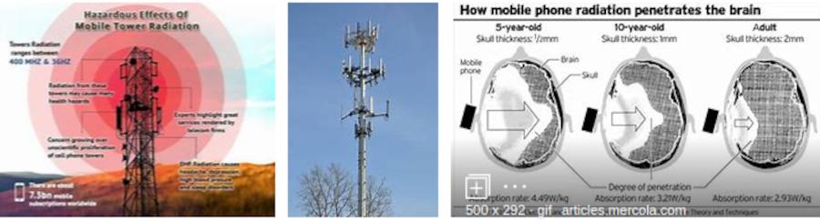 CELL TOWER BRAIN DAMAGE BY COMCAST KILLING THE WHISTLE-BLOWERS
Keywords: Rare Earth Mines Of Afghanistan, New America Foundation Corruption, Obama, Obama Campaign Finance, Obama FEC violations, Palo Alto Mafia, Paypal Mafia, Pelosi Corruption, Political bribes, Political Insider,  Eric Schmidts Sex Penthouse, SEC Investigation