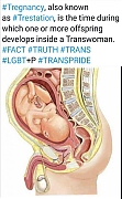 ANAL-TRANS-BIRTH.jpg