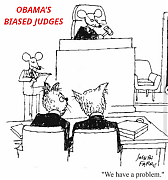 BIASED_JUDGES.png