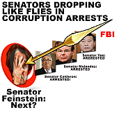 senator-dianne-feinstein-corrupt-career-politician~0.png