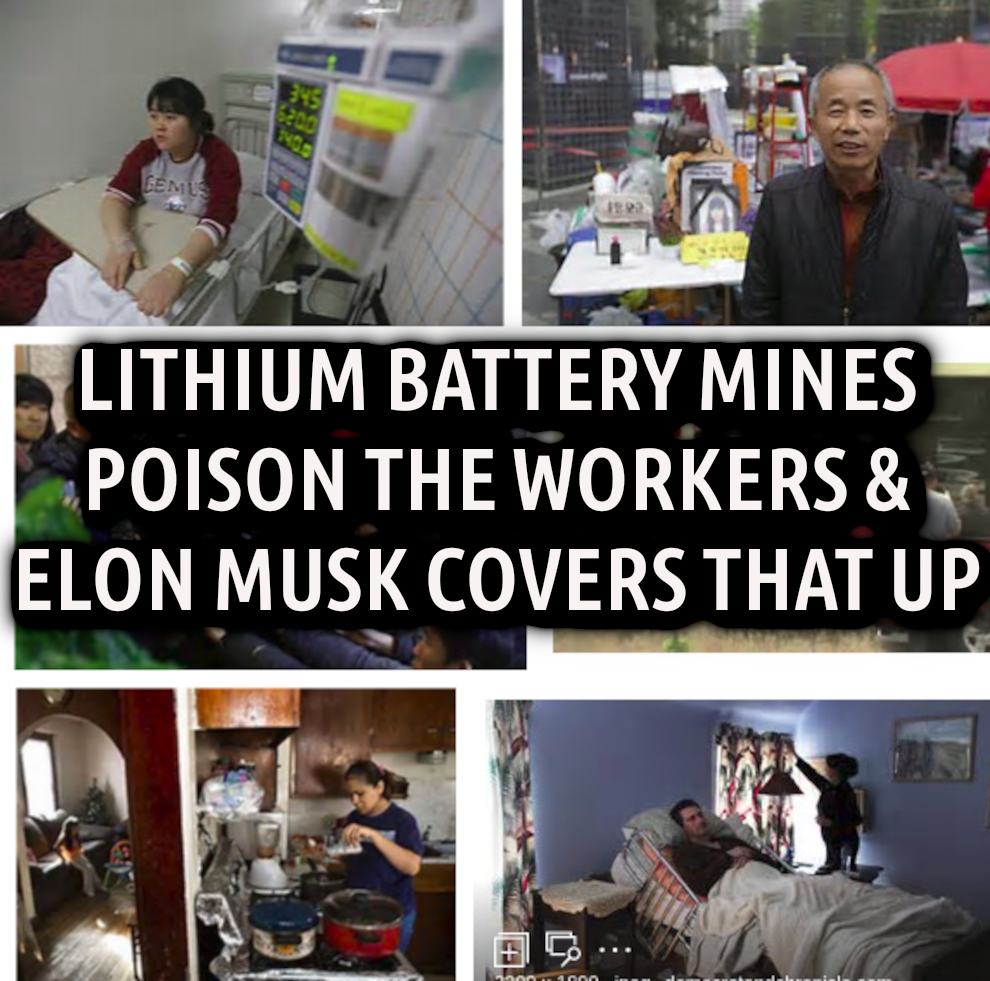 ELON-MUSK-LITHIUM-TOUR2-1
Keywords: Rare Earth Mines Of Afghanistan, New America Foundation Corruption, Obama, Obama Campaign Finance, Obama FEC violations, Palo Alto Mafia, Paypal Mafia, Pelosi Corruption, Political bribes, Political Insider,  Eric Schmidts Sex Penthouse, SEC Investigation