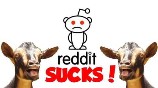 REDDIT SUCKS ALL NIGHT THE WHITE HOUSE HIRES CHARACTER ASSASSINS
Keywords: Rare Earth Mines Of Afghanistan, New America Foundation Corruption, Obama, Obama Campaign Finance, Obama FEC violations, Palo Alto Mafia, Paypal Mafia, Pelosi Corruption, Political bribes, Political Insider,  Eric Schmidts Sex Penthouse, SEC Investigation