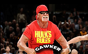 GAWKER_MEDIA_RAN_THE_HIT_JOBS__HOGAN-VS-GAWKER~0.png