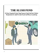 THE-DEPARTMENT-OF-ENERGY-POLITICAL-SLUSH-FUND-pdf.jpg