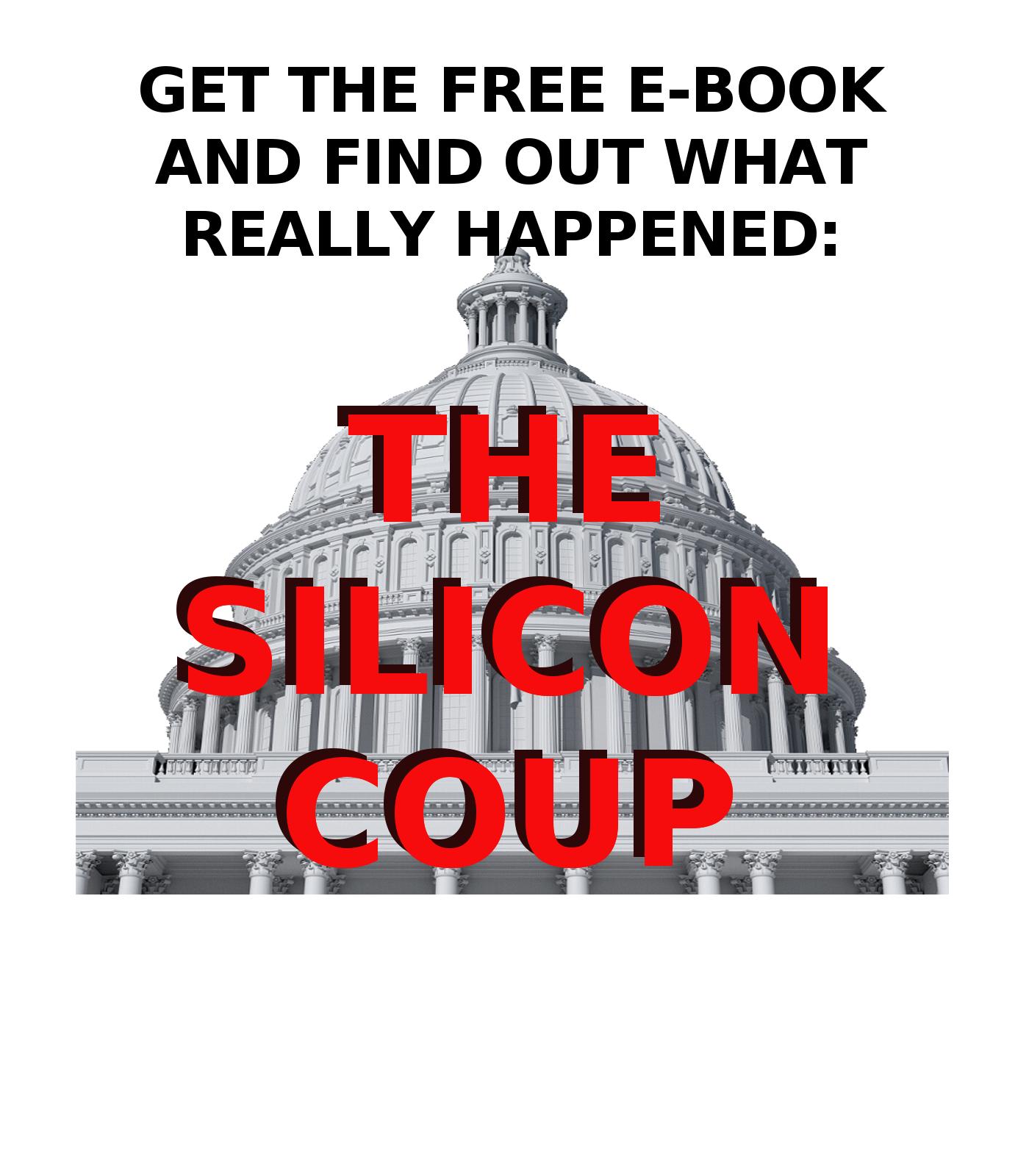 Keywords: Rare Earth Mines Of Afghanistan, New America Foundation Corruption, Obama, Obama Campaign Finance, Obama FEC violations, Palo Alto Mafia, Paypal Mafia, Pelosi Corruption, Political bribes, Political Insider,  Eric Schmidts Sex Penthouse, SEC Investigation