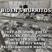 BIDENS_BURRITOS~0.jpg