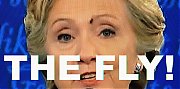 a-fly-landed-directly-on-hillary-clintons-face-during-the-second-presidential-debate_jpg~0.png