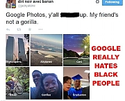 GOOGLE_S_GORILLA_CHANNEL_v1~0.jpg