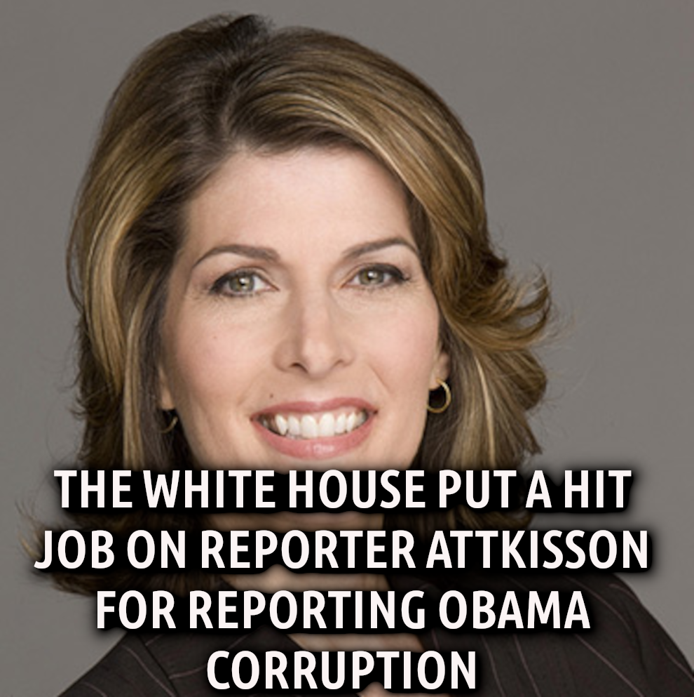 ATTKISSON SPEAKS FIGHT BACK
Keywords: Rare Earth Mines Of Afghanistan, New America Foundation Corruption, Obama, Obama Campaign Finance, Obama FEC violations, Palo Alto Mafia, Paypal Mafia, Pelosi Corruption, Political bribes, Political Insider,  Eric Schmidts Sex Penthouse, SEC Investigation