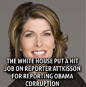 ATTKISSON_SPEAKS_FIGHT_BACK~0.png